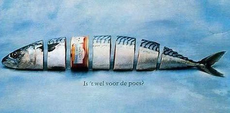 �����ͷ�����������Ӫ���� www.027eat.com