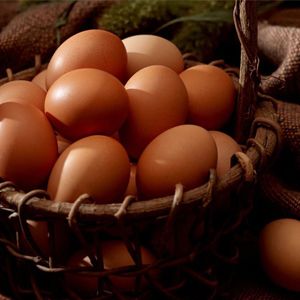 �������𼦵��ĸ�Ӫ�� www.027eat.com