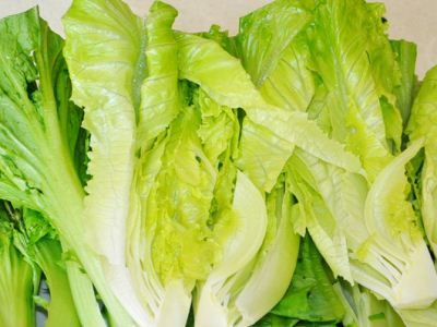 ��ѡ���ʹ��ߵ���ȷ���� www.027eat.com