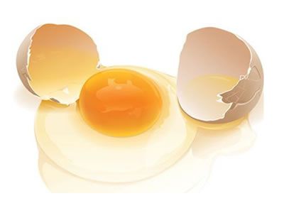 ����С���� ���ʼ������ؼ� www.027eat.com