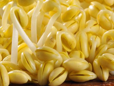 ��������ʶ���ж���ѿ www.027eat.com