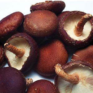 �㹽����ѡ����Ҫ������ www.027eat.com