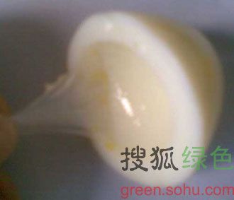 ���ʶ������ټ��� www.027eat.com