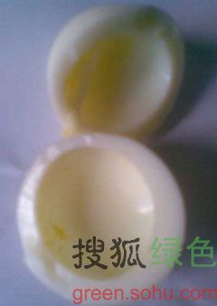 ���ʶ������ټ��� www.027eat.com