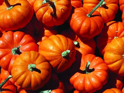 �ճ�ѡ��Ӫ���Ϲϵ��ĸ����� www.027eat.com