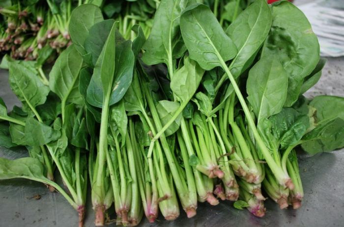 ���������ѡ���� www.027eat.com