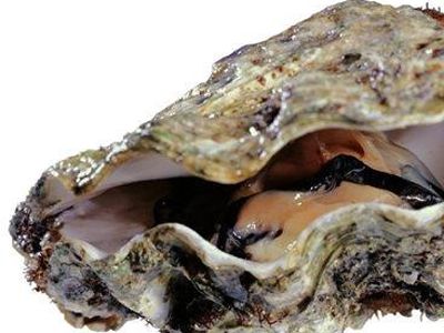 �������������׳���� www.027eat.com