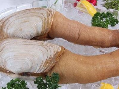 �������������׳���� www.027eat.com