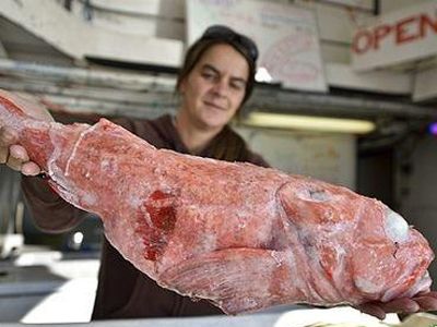 �������������׳���� www.027eat.com