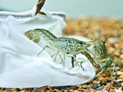 �������������׳���� www.027eat.com