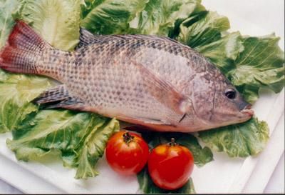 �������в��ٱ������̷���ƭ www.027eat.com