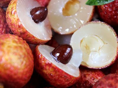 ȥ���� ��֦��ѡ�Ĵ��� www.027eat.com