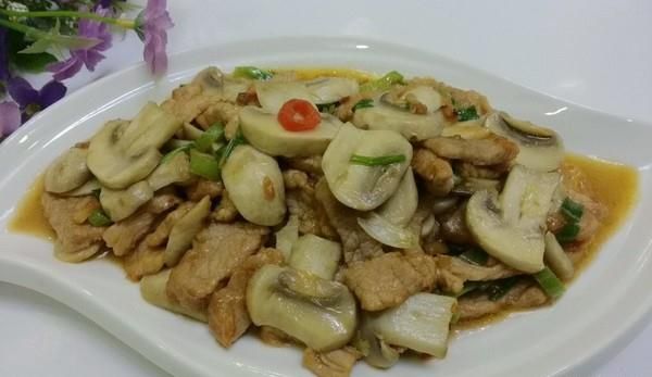 Ģ������Ƭ������