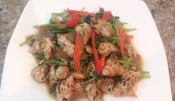 �������ݵ�����,�����,����������ô���ó���ϸ����ͼ�������