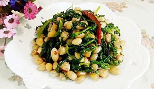 �۲�Ҷ�軨��������,�����,�۲�Ҷ�軨����ô���ó���ϸ����ͼ�������