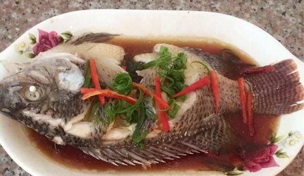 ��֭����������,�����,��֭�������ô���ó���ϸ����ͼ�������