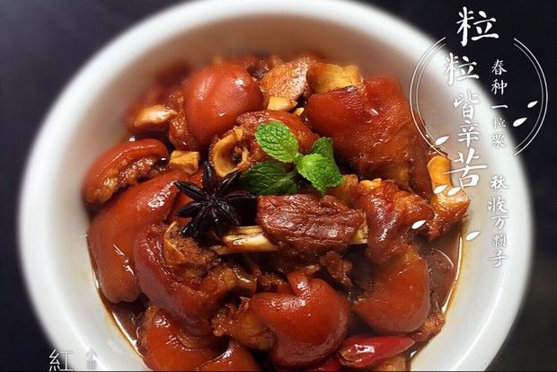 ���ݳ�ʲô���������������ͼ��,�����,����������ô���ó���ϸ���������