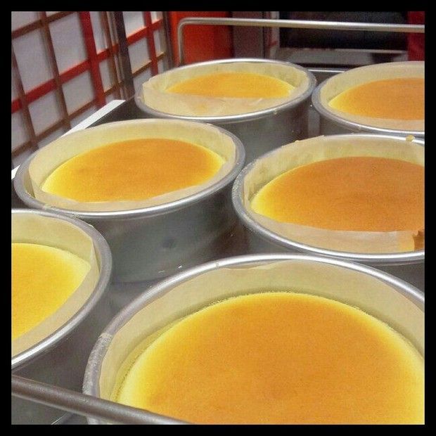 ������֥ʿ����(6��)������ͼ��,�����,������֥ʿ����(6��)��ô���ó���ϸ���������