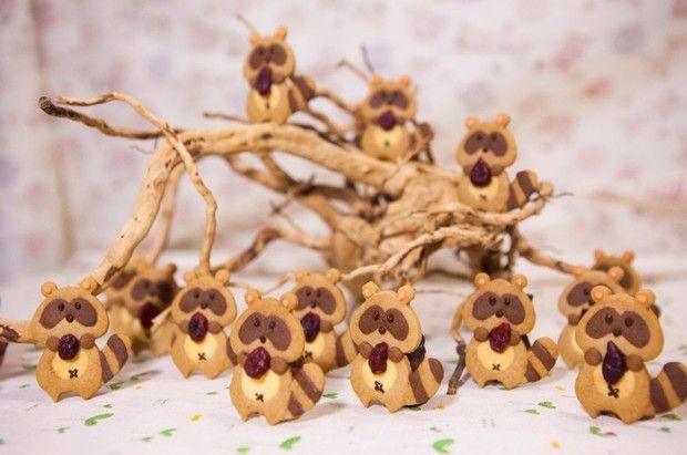 С��ܱ��ɵ�����ͼ��,�����,С��ܱ�����ô���ó���ϸ���������