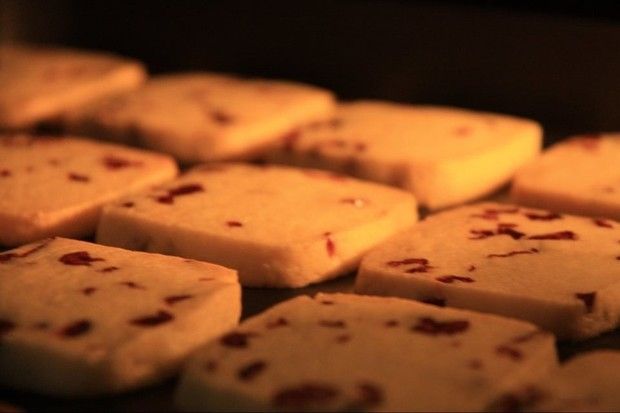 ��Խ÷���ɵ�����ͼ��,�����,��Խ÷������ô���ó���ϸ���������