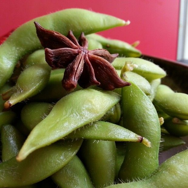 ����ë��������