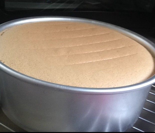 8���ݷ絰�������