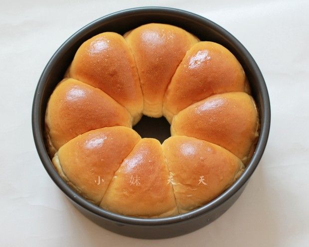 ţ��Բ���������ͼ��,�����,ţ��Բ�����ô���ó���ϸ���������