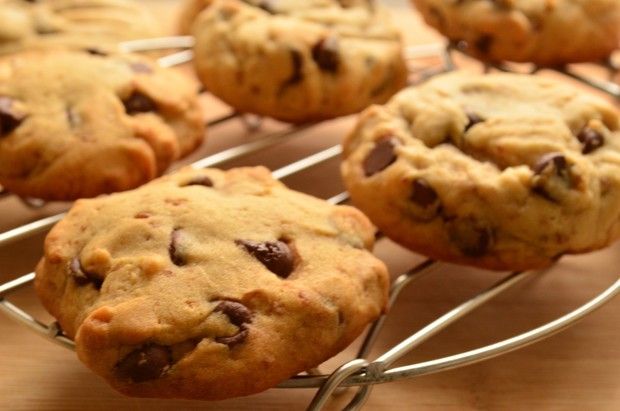 �����ɿ��������������