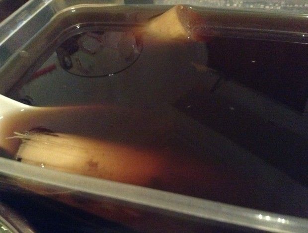 ������ʪ�������