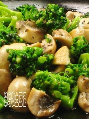 Ģ��������������ͼ��,�����,Ģ����������ô���ó���ϸ���������