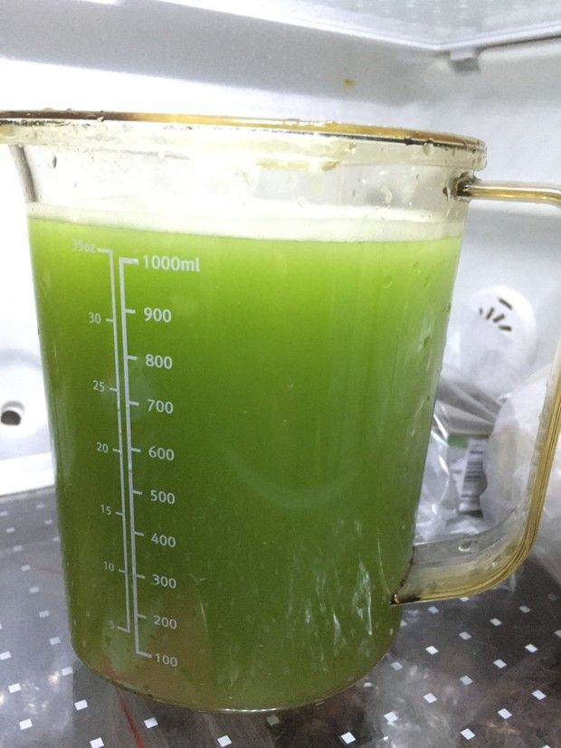 �����֭������