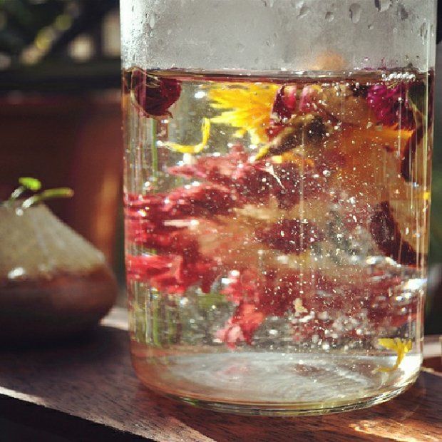 ������Ѫ���������