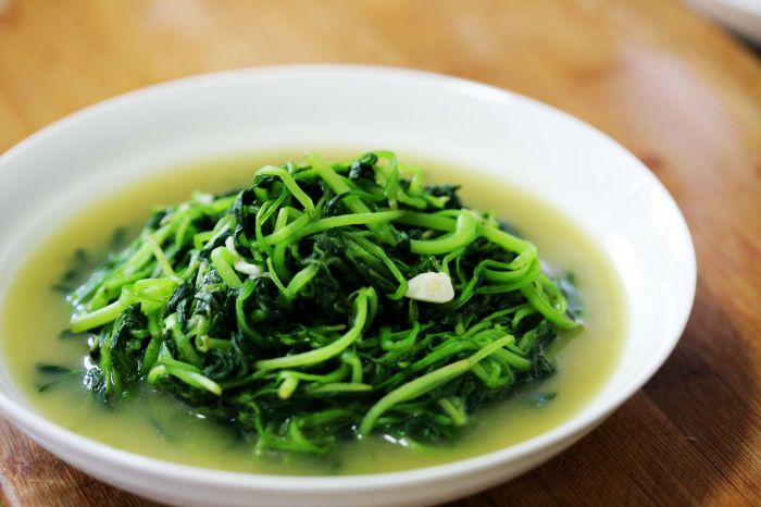 ������ë�˵�����ͼ��,�����,������ë����ô���ó���ϸ���������