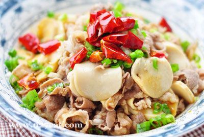 ���������ӱ���������