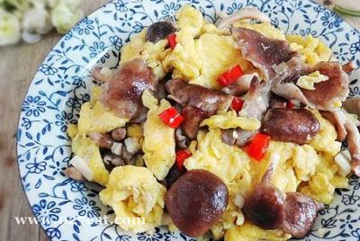 Ұ�㹽������������