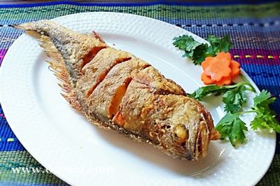 ��ը����������