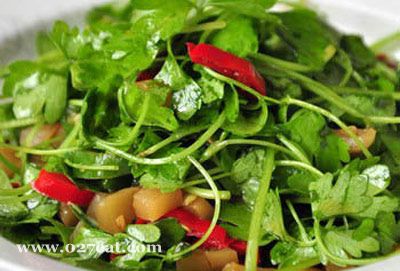 �����۲��������ͼƬ,�����,�����۲�����ô���ó���ϸ����