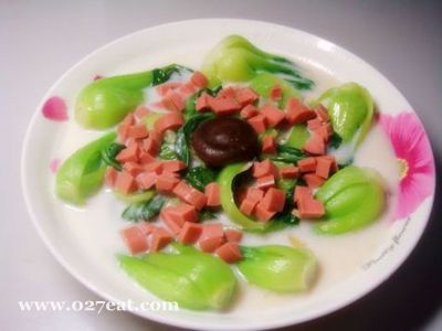 ���Ͳ��ĵ�����ͼƬ,�����,���Ͳ�����ô���ó���ϸ���������