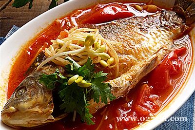 酸辣番茄焖鲫鱼的做法 酸辣番茄焖鲫鱼的做法