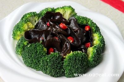 ��������ľ��������