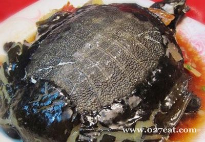 ��֭���������