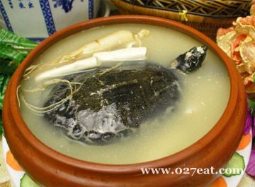 双参炖圆鱼的做法 双参炖圆鱼的做法