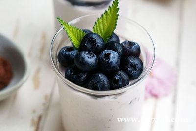 ��ݮĽ˹��������