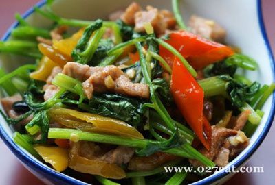 ����������Ƭ������