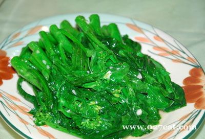 ���׳������������ͼƬ,�����,���׳���������ô���ó���ϸ���������