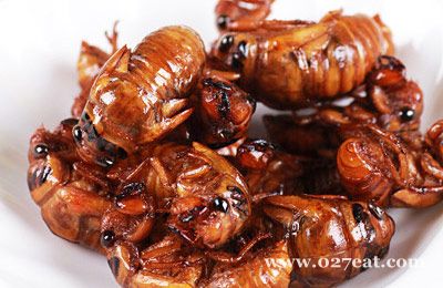 �������������ͼƬ,�����,���������ô���ó���ϸ���������