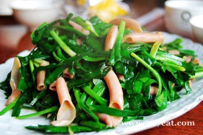 �������²˵�����