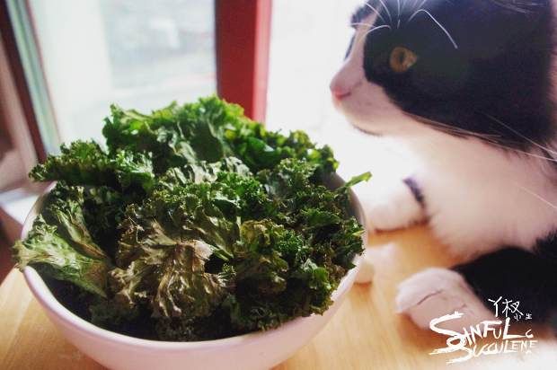 ���¸�����Ƭ������