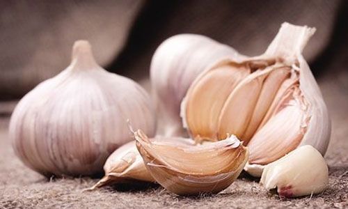 ���Գ�θ�������������Դ������ www.027eat.com