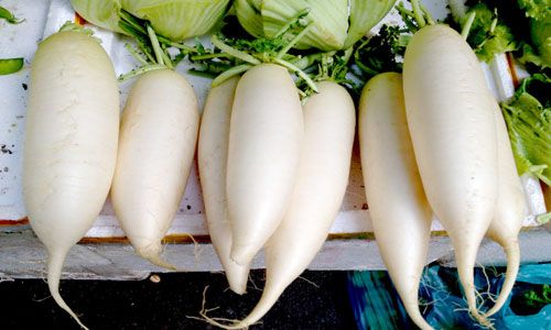 ���ܲ������Ծ�Ȼ�ܿ���!����Ҳ��ע����Щ www.027eat.com